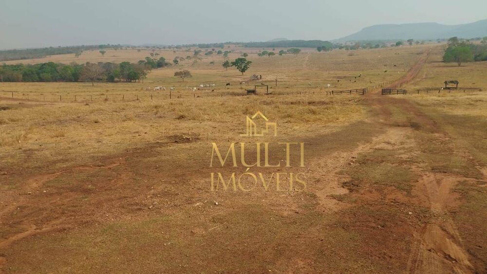 Fazenda, 393 hectares - Foto 4