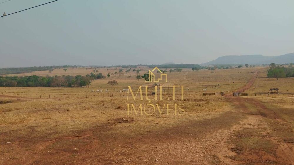 Fazenda, 393 hectares - Foto 5