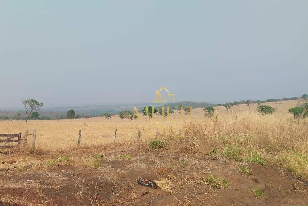 Fazenda, 393 hectares - Foto 1
