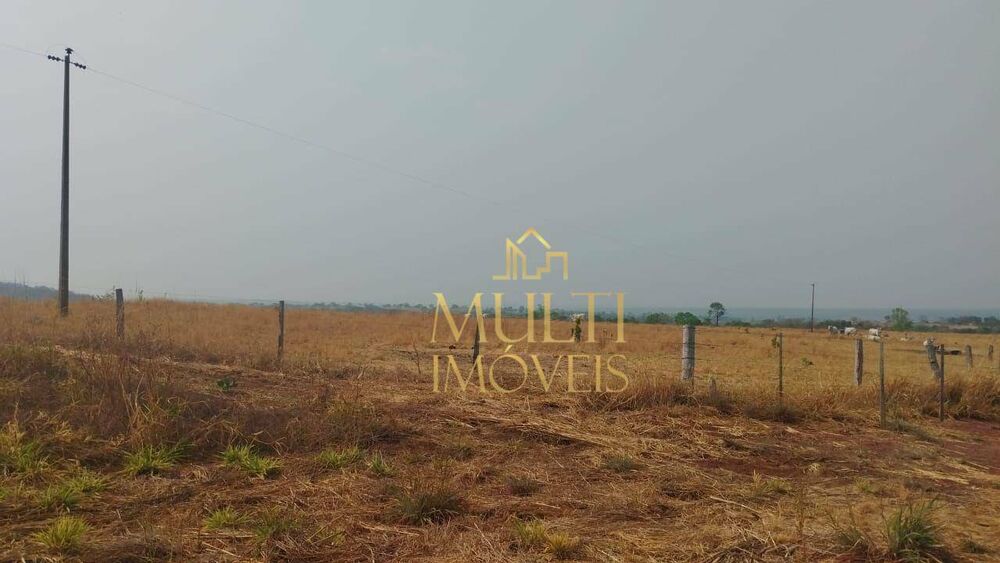 Fazenda, 393 hectares - Foto 2
