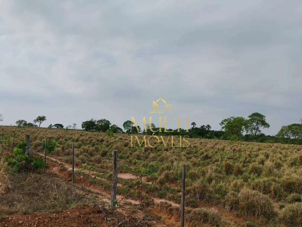Fazenda, 392 hectares - Foto 3