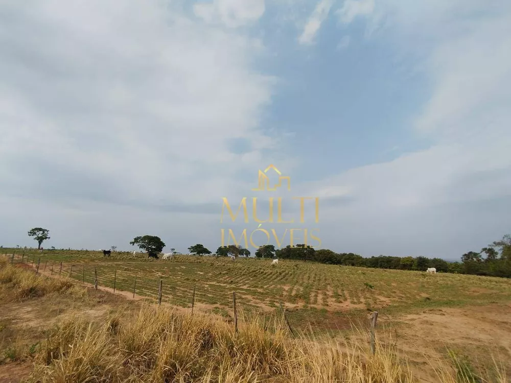 Fazenda, 392 hectares - Foto 8
