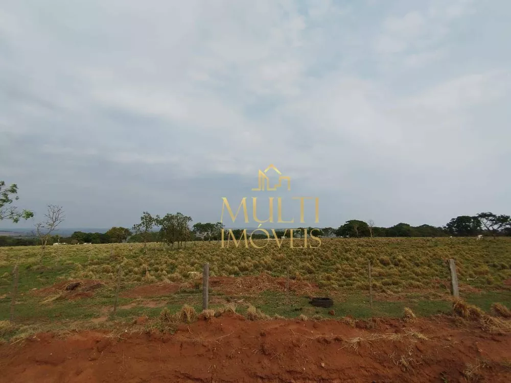 Fazenda, 392 hectares - Foto 1