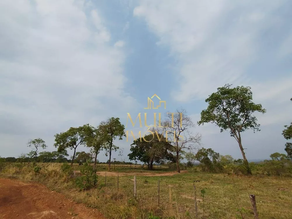 Fazenda, 392 hectares - Foto 2
