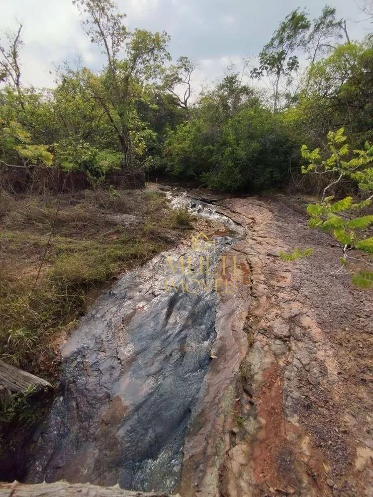 Fazenda, 392 hectares - Foto 6