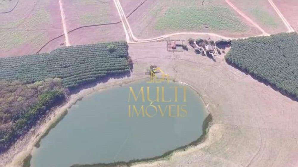 Fazenda, 298 hectares - Foto 8
