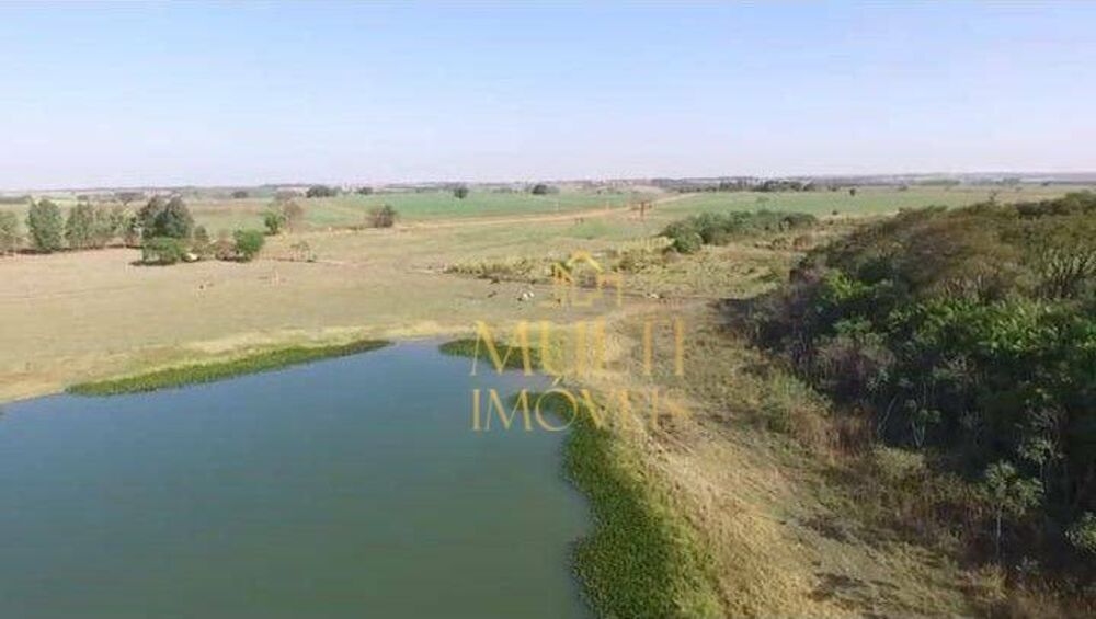 Fazenda, 298 hectares - Foto 5