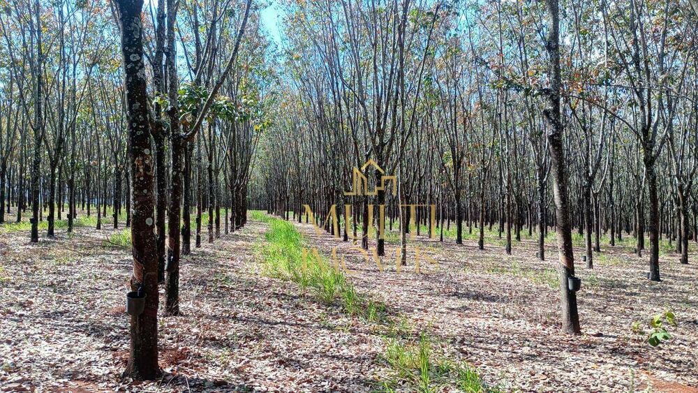 Fazenda, 641 hectares - Foto 1