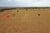 Fazenda, 235 hectares - Foto 3