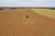 Fazenda, 235 hectares - Foto 4