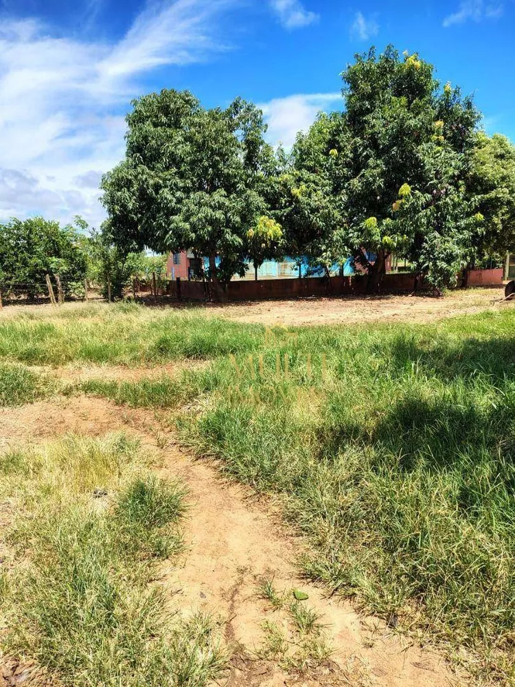 Fazenda, 123 hectares - Foto 15