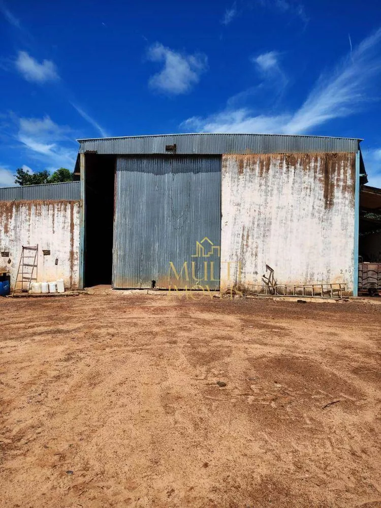 Fazenda, 123 hectares - Foto 13