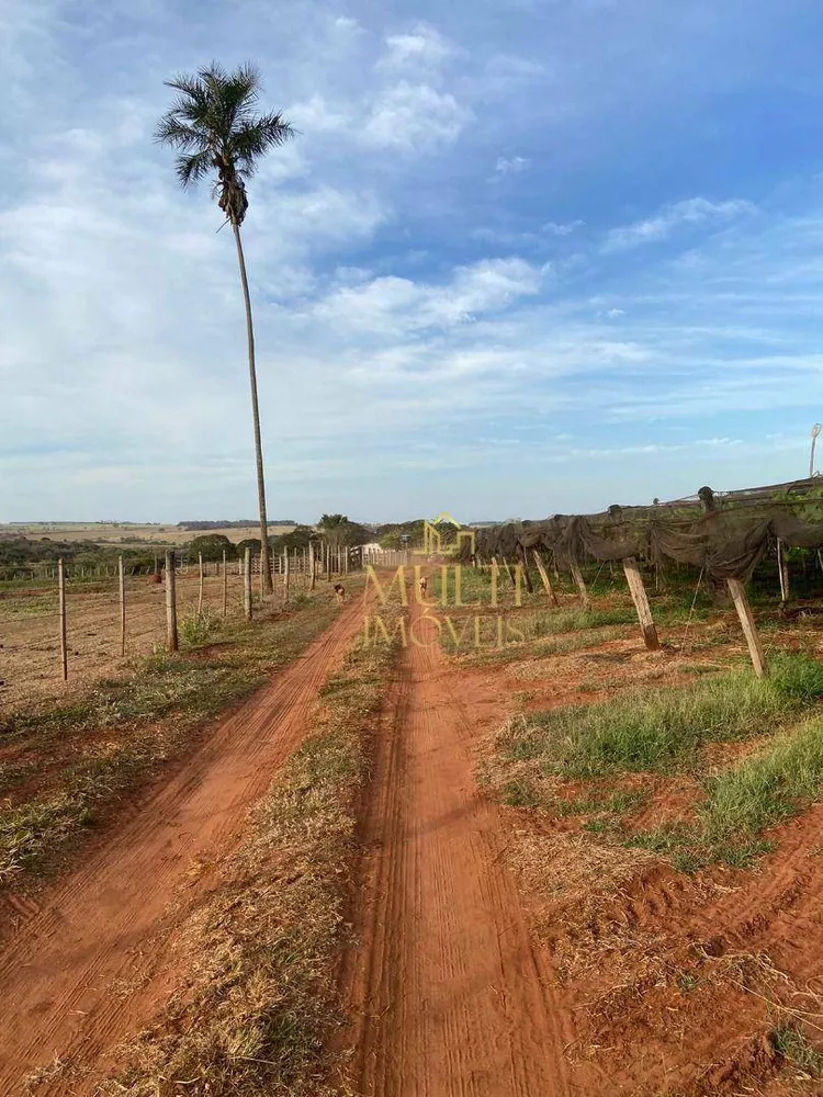 Sítio, 38 hectares - Foto 6