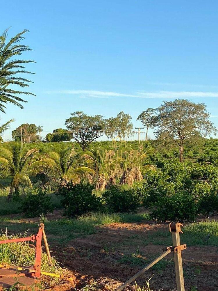 Sítio, 38 hectares - Foto 19