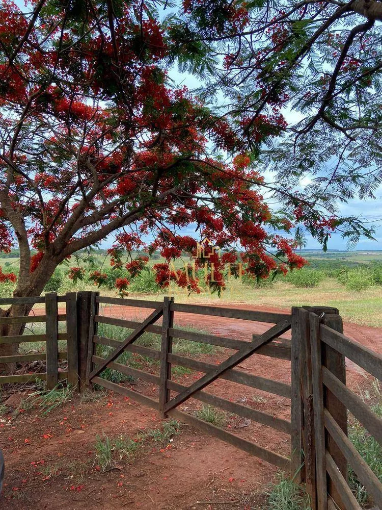 Sítio, 38 hectares - Foto 10