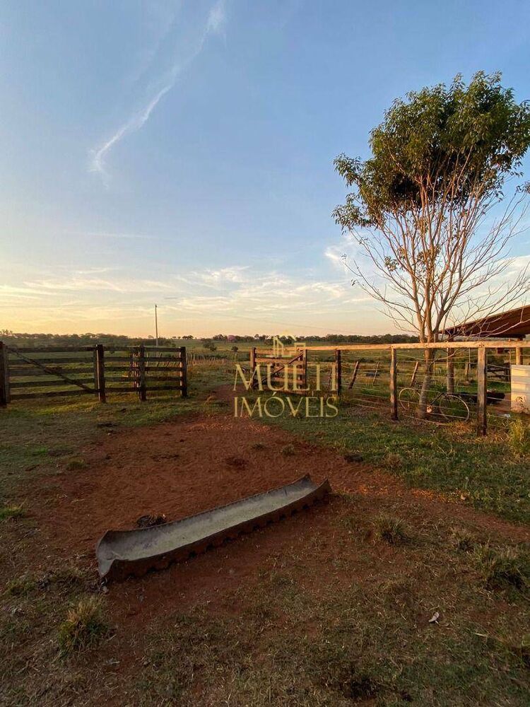Sítio, 38 hectares - Foto 14
