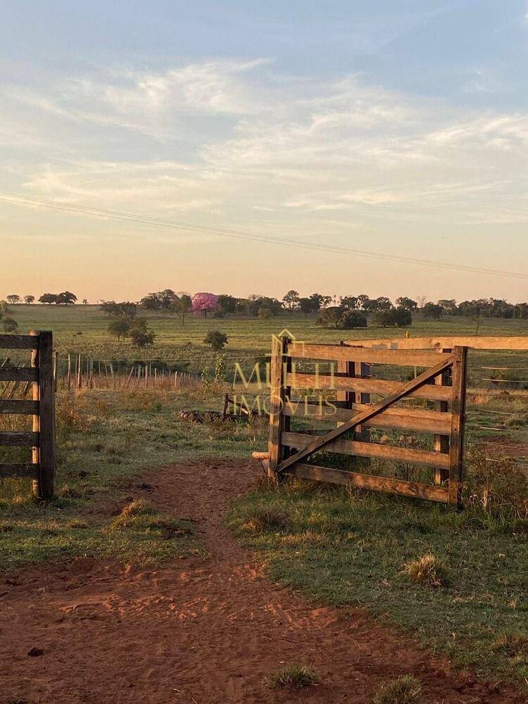 Sítio, 38 hectares - Foto 16