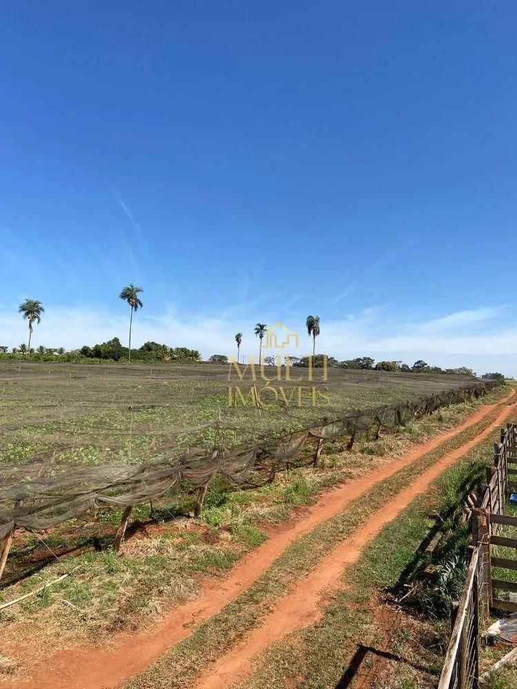 Sítio, 38 hectares - Foto 4