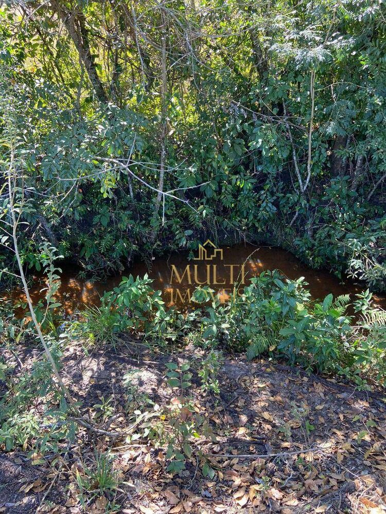 Sítio, 38 hectares - Foto 22