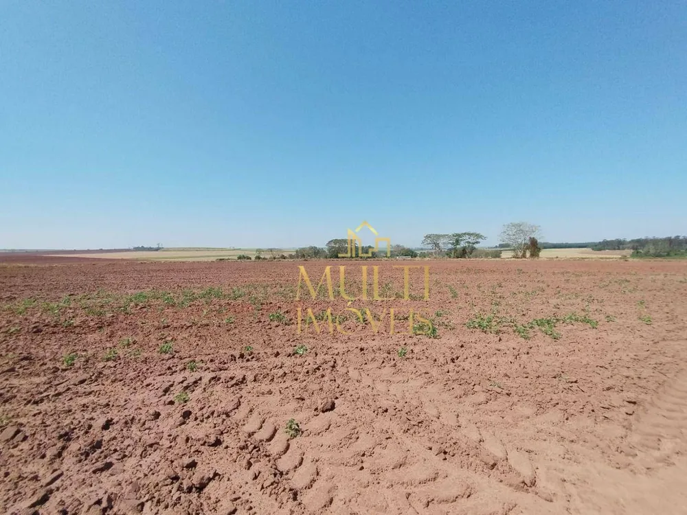 Fazenda, 196 hectares - Foto 3