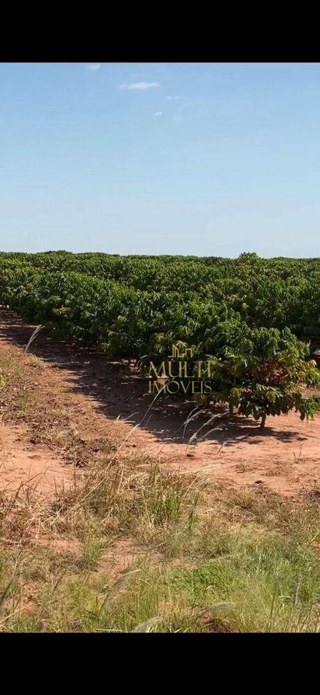 Fazenda, 232 hectares - Foto 4