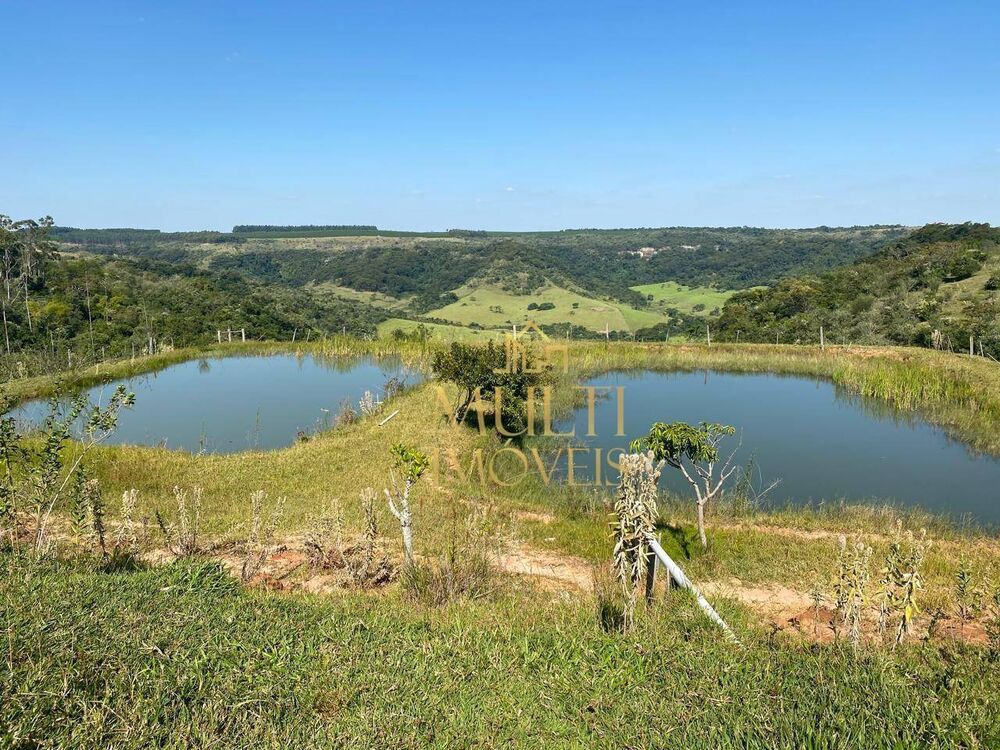 Fazenda, 232 hectares - Foto 6