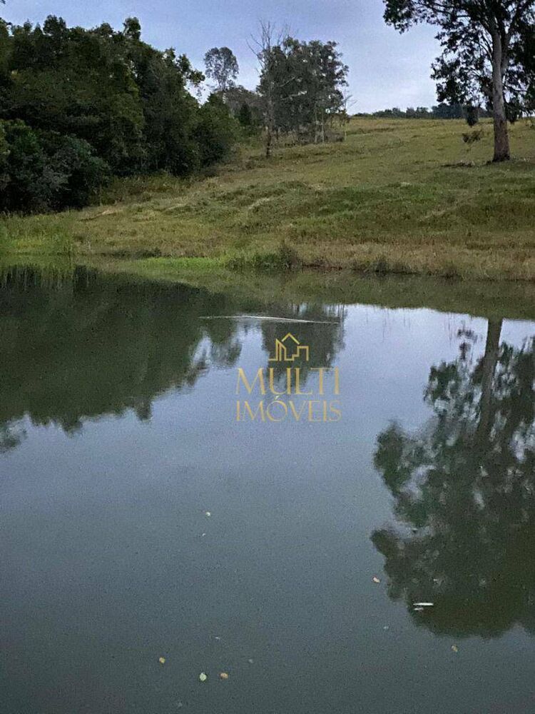 Fazenda, 232 hectares - Foto 3