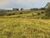 Fazenda, 232 hectares - Foto 1