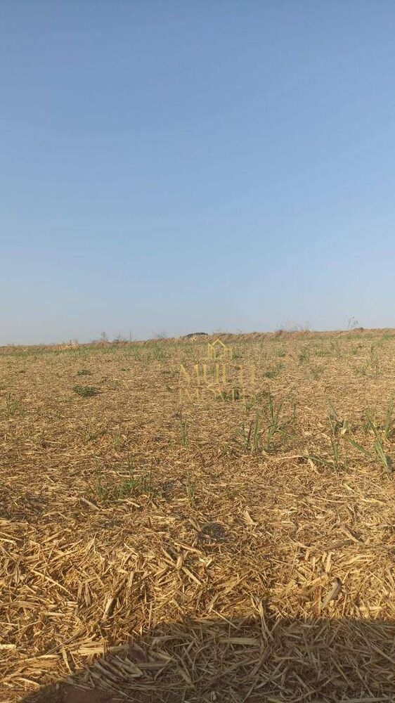 Fazenda, 169 hectares - Foto 1