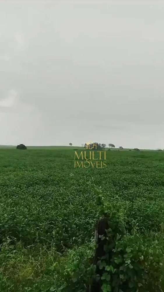 Fazenda, 178 hectares - Foto 3