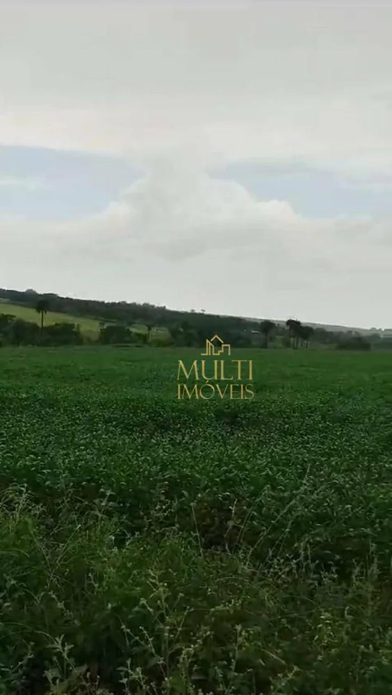 Fazenda, 178 hectares - Foto 4