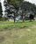 Terreno, 1482 m² - Foto 4