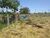 Terreno, 1000 m² - Foto 4