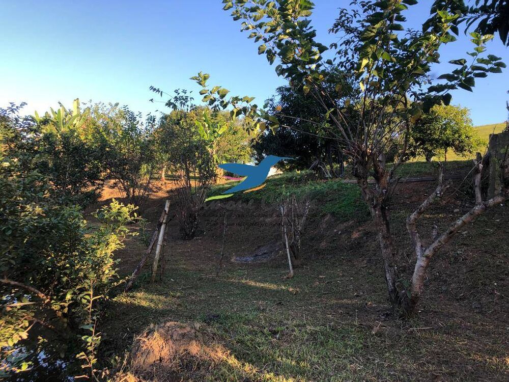 Chácara à venda com 3 quartos, 23000m² - Foto 4
