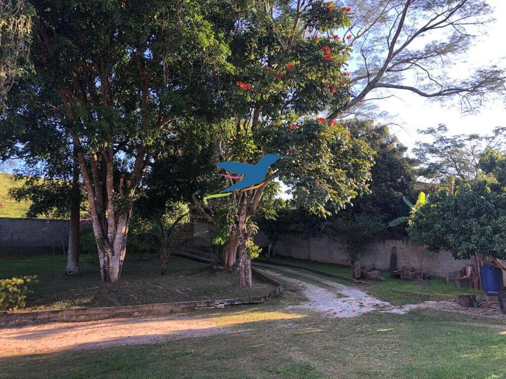 Chácara à venda com 3 quartos, 23000m² - Foto 11