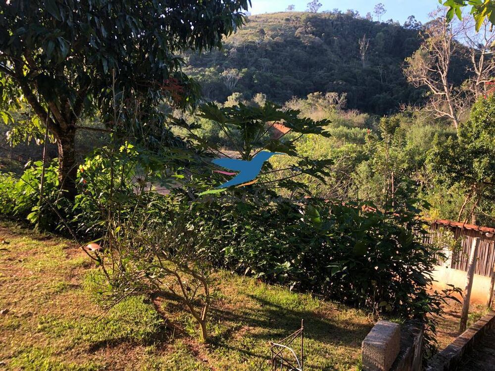 Chácara à venda com 3 quartos, 23000m² - Foto 8