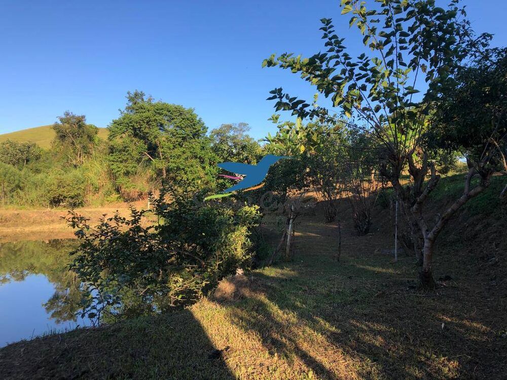 Chácara à venda com 3 quartos, 23000m² - Foto 3