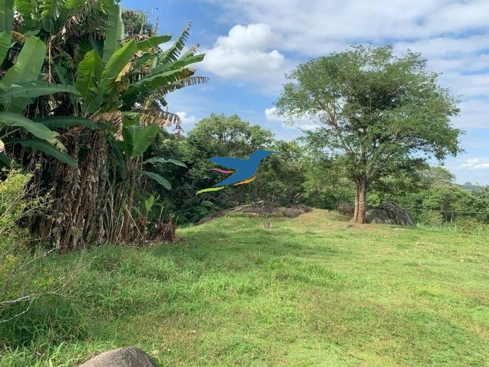 Sítio à venda com 3 quartos, 300m² - Foto 11