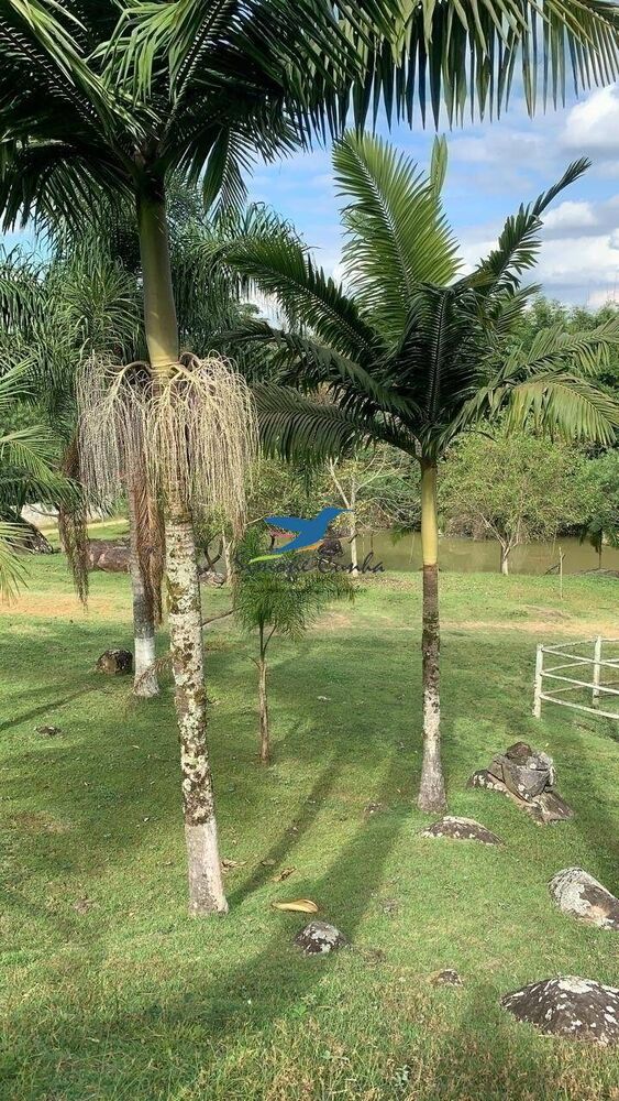 Sítio à venda com 3 quartos, 300m² - Foto 12