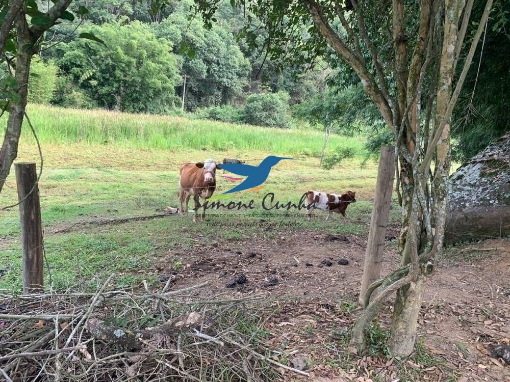 Sítio à venda com 3 quartos, 300m² - Foto 18