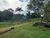Sítio, 3 quartos, 4 hectares - Foto 13