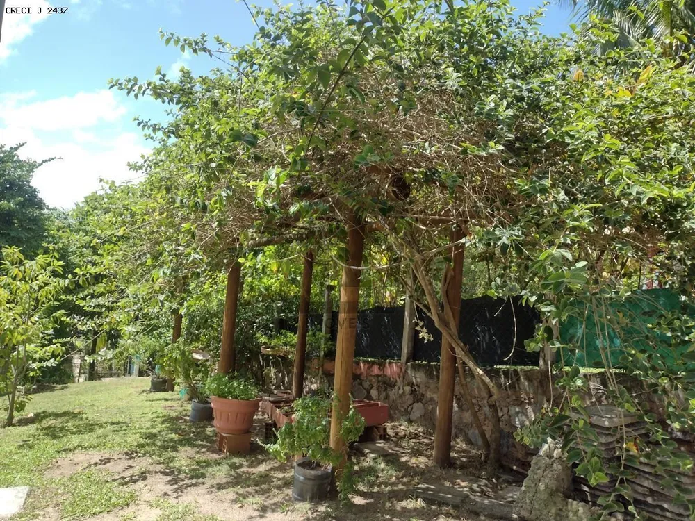 Casa, 4 quartos, 900 m² - Foto 10