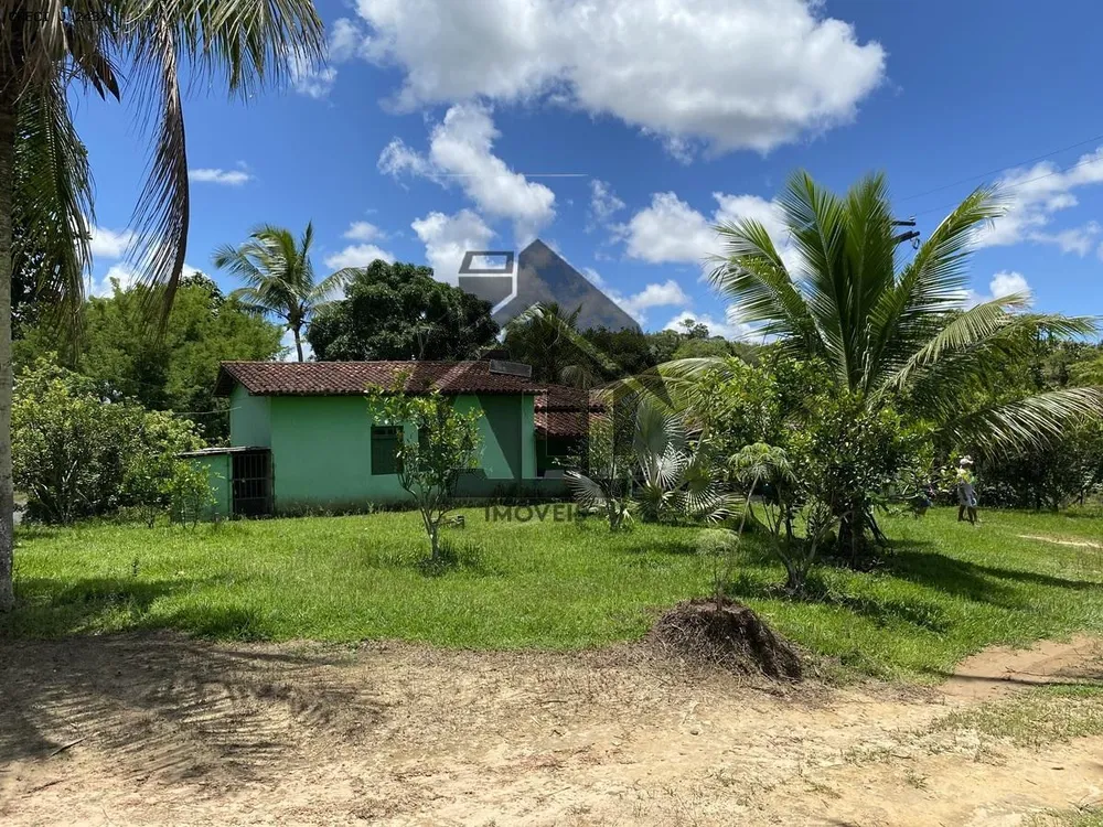Fazenda - Foto 16