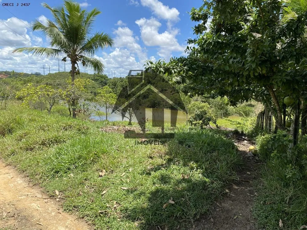 Fazenda - Foto 7