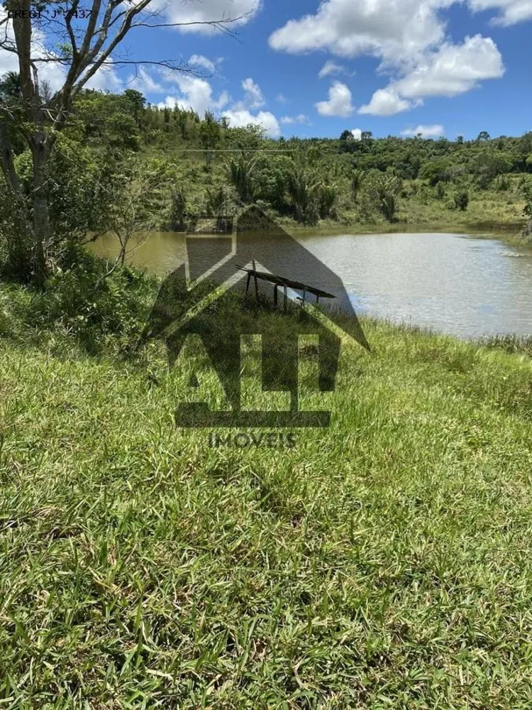 Fazenda - Foto 20