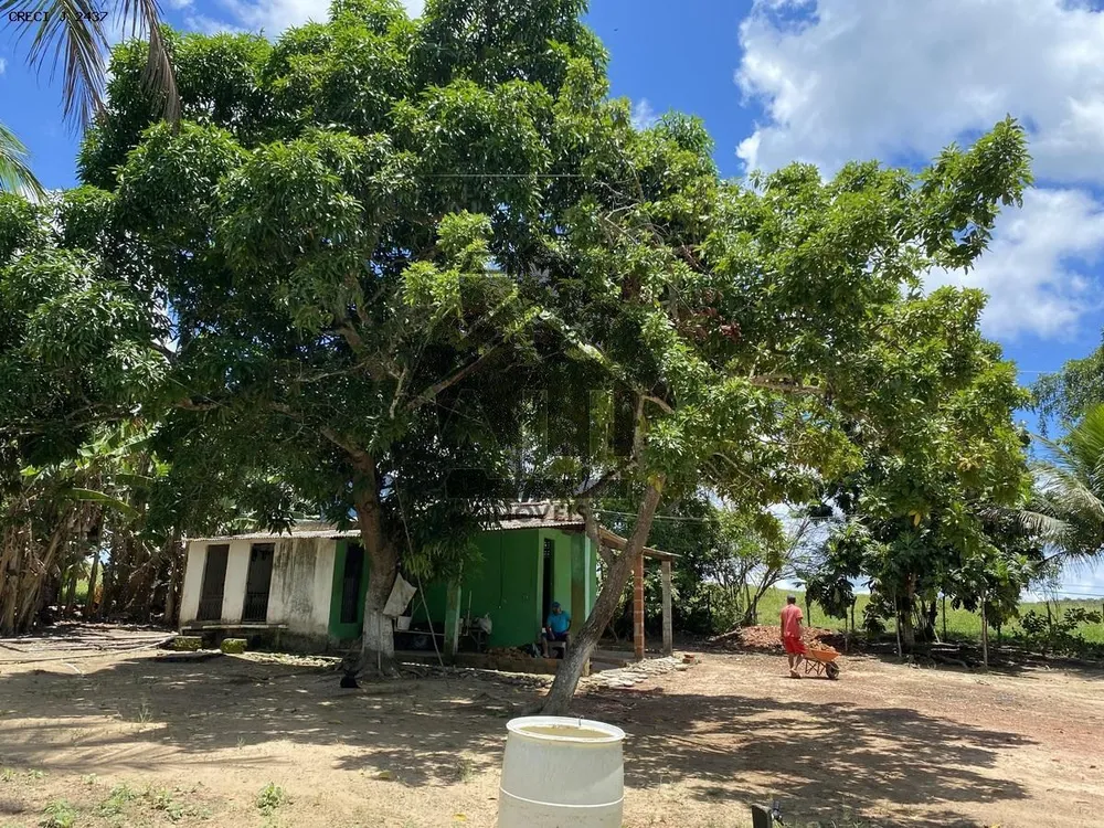 Fazenda - Foto 15