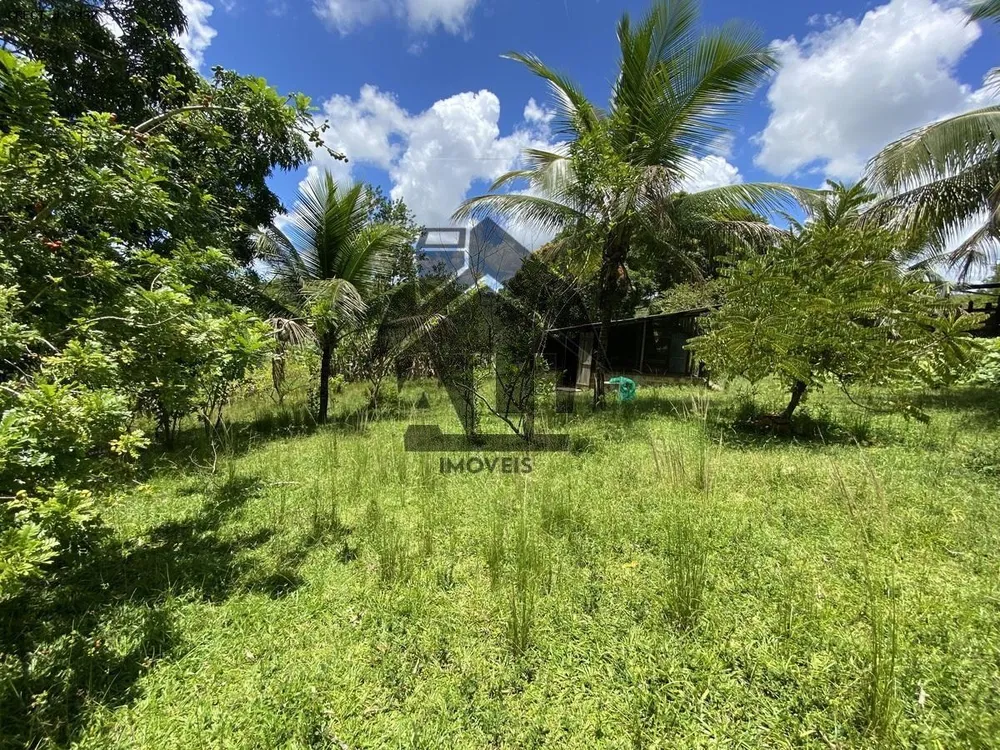 Fazenda - Foto 6