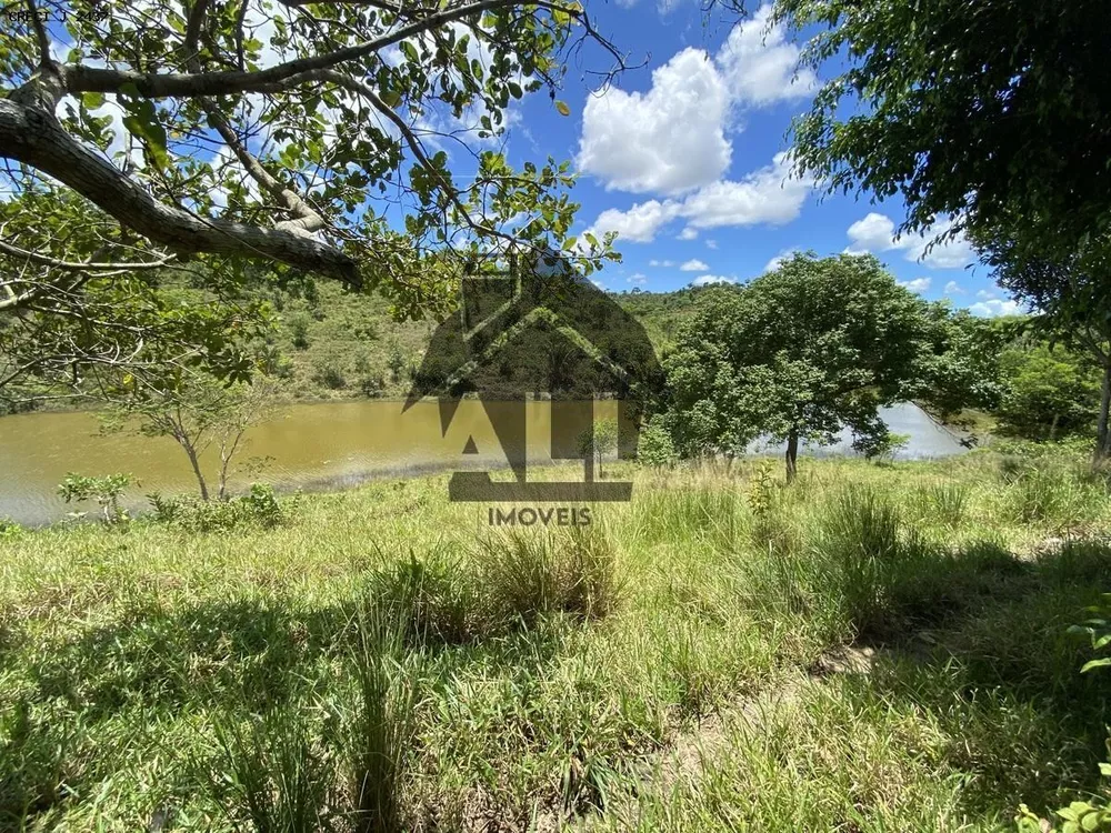 Fazenda à venda com 5 quartos, 780000m² - Foto 2