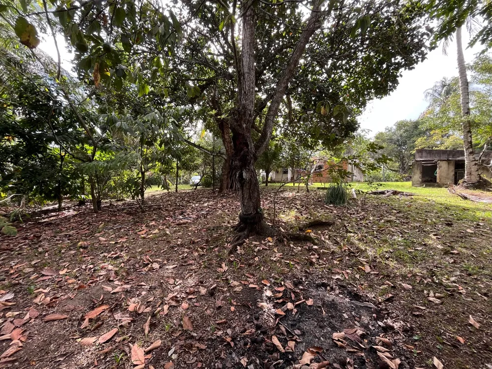 Sítio, 3 quartos, 4 hectares - Foto 6