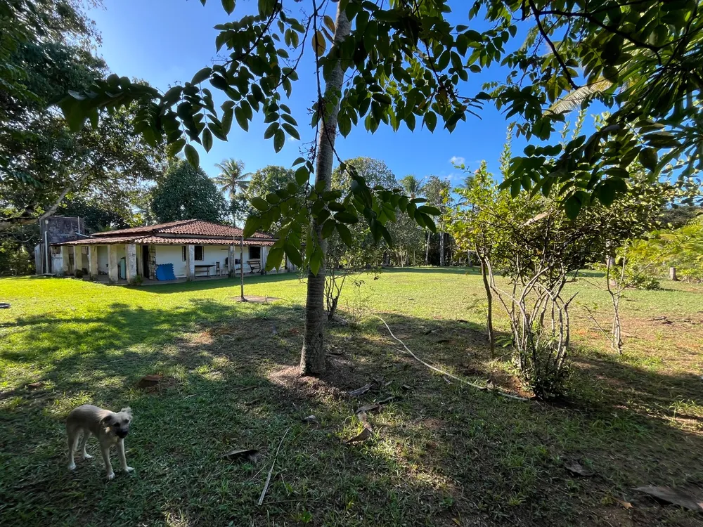 Sítio, 3 quartos, 4 hectares - Foto 1